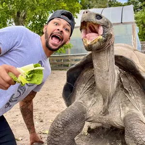 Autographed Tortoise Photo!