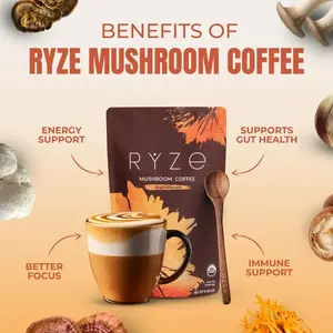 All-Day Wellness Coffee | Mushroom Blend with MCT Oil, Turkey Tail, Shiitake & Lion's Mane, 6.35 OZ