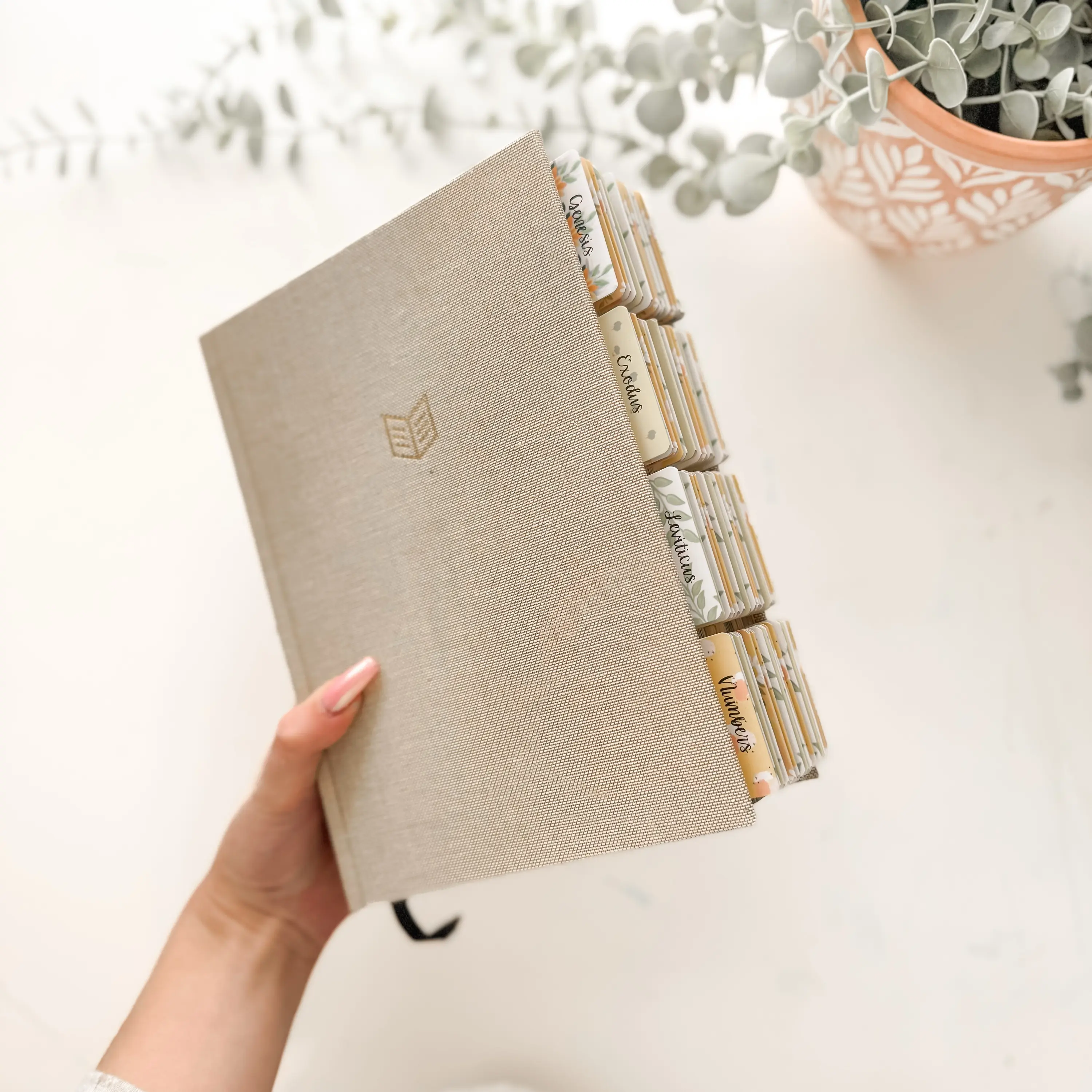 She Reads Truth tabbed Bible - Sunflower Tabs