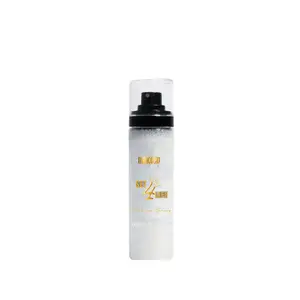 Set 4 Life Pearlescent Setting Spray