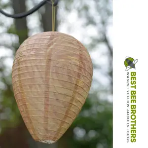 Best Bee Brothers Wasp Deterrent Hives 2 Decoy Nests for Wasps & Yellowjackets Outdoor Garden Wood Protection Natural Wax Paper Collapsible Design