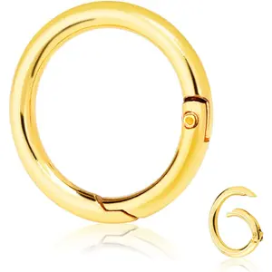 10 Pack 1 Inch Gold Spring O Rings, Metal Keychain Ring Round Carabiner Clips for Replacement Purse Ring Hardware, Keyrings Buckles,  Keychain Lanyard, Home Car Keyrings Attachment