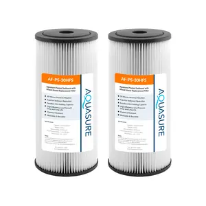 Fortitude V2 Series | High Flow 30 Micron Pleated Sediment Filter - Standard (2-Pack)