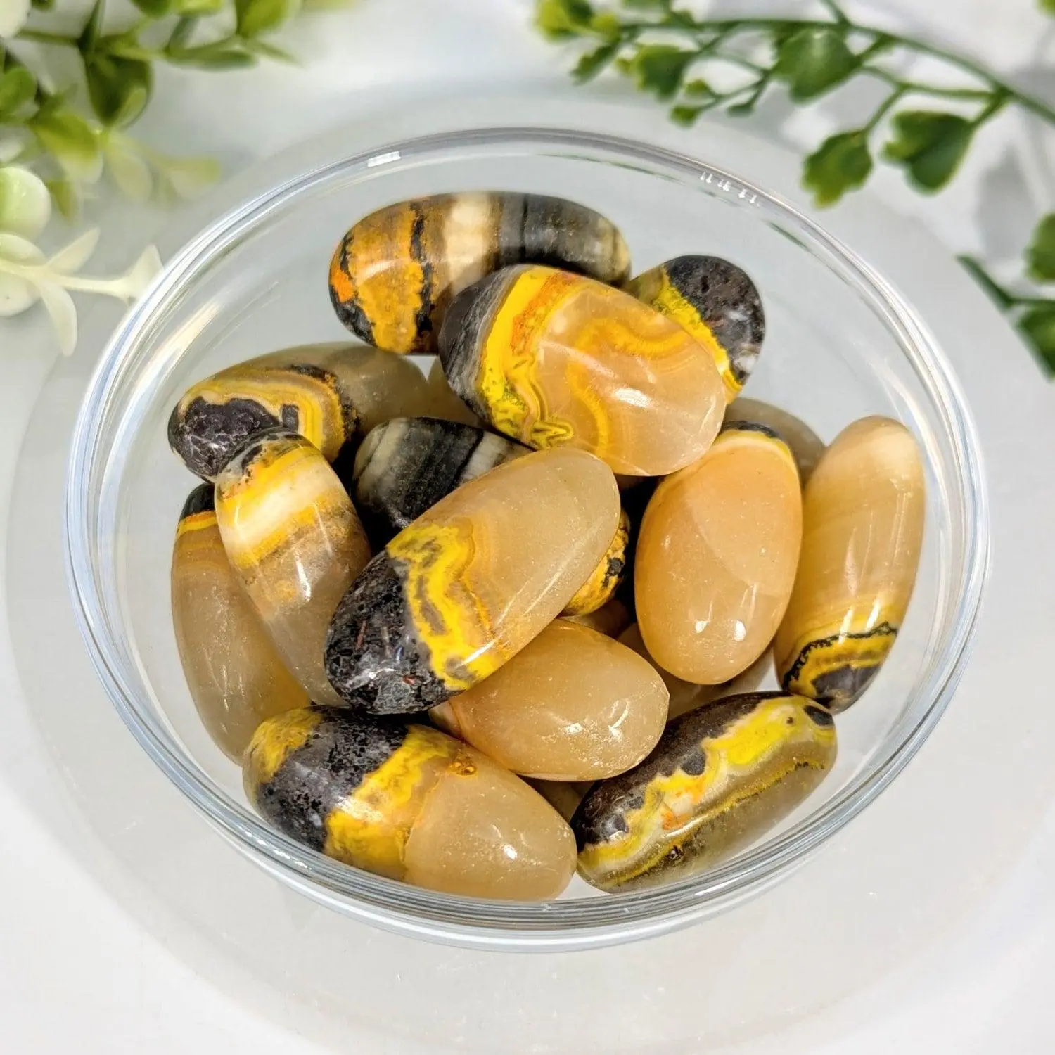 Bumblebee Jasper Oval Tumble Stone