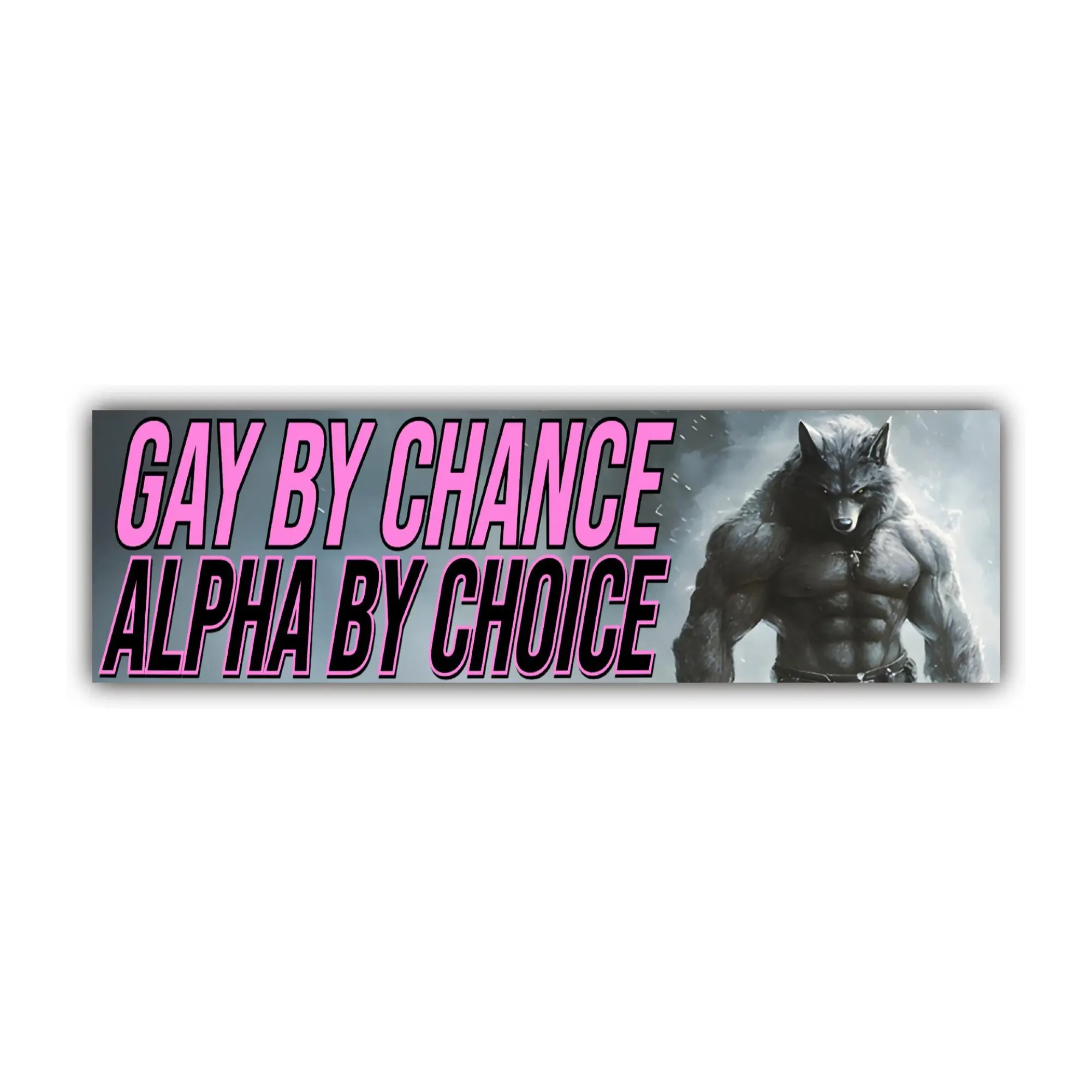 Gay By Chance Alpha by Choice Bumper Sticker OR Magnet | Meme Sticker | Unhinged Gen Z Decal | 8.5" x 2.5" Premium Weather-proof Vinyl