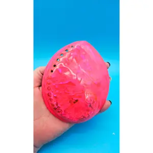 Vibrant Hot Pink Midas Abalone Shell (5-5.5"): Polished, Iridescent Display Piece