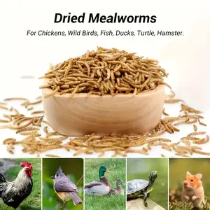 Premium Dried Mealworms - High Protein Treat for Chickens, Wild Birds, Ducks, Turtles & Hamsters | All-Natural Pet Food