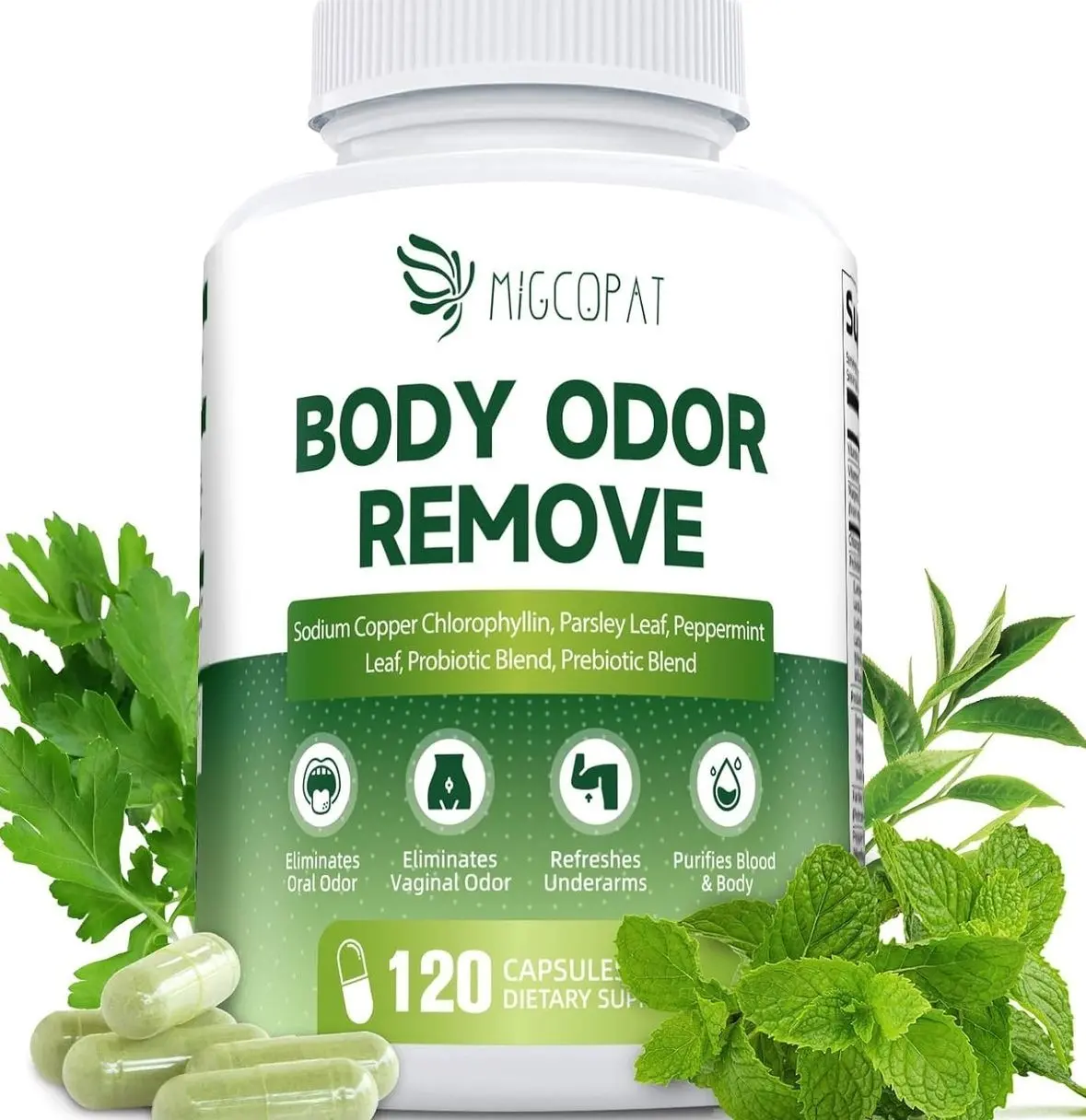 Chlorophyll Body Deodorizing Supplement, Chlorophyll Capsules with Parsley & Peppermint, Probiotic, Green Tea, Jerusalem Artichoke, Prebiotic, Supports Fresh Breath & Whole-Body Freshness, 120 Caps