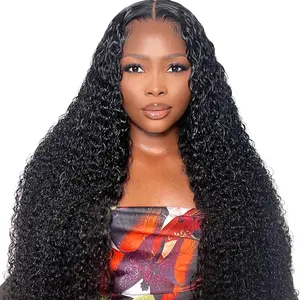 Asteria Hair 250% Density Curly Pre Cut Lace Wig Ready To Go Kinky Curly Human Hair Wig
