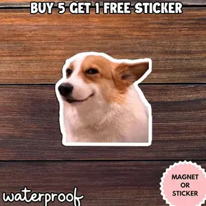 Side Eye Dog Meme Sticker, Smirk Dog Sticker, Funny Sarcastic Dog Meme Magnet, Relatable Reaction Sticker S