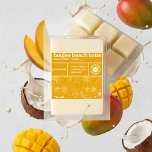 Luxury Soy Wax Melts - Highly Scented Aromatherapy Wax Melts for Home Decor & Freshening Fragrance - Eco-Friendly, Non-Toxic