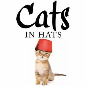 USED-Cats in Hats by Scratching, Kat (Hardcover)