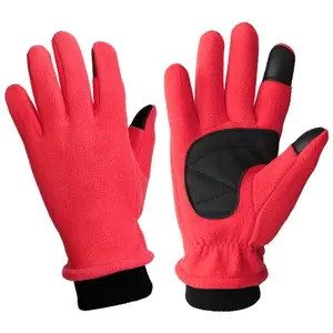 Winter Warm Gloves Windproof Thermal Gloves For Men Women Touch Screen Cold Weather Thermal Warm Glove Gloves Keep Hand Warm Cold Weather For Running Driving Ski Hiking Cycling Sports,polar fleece polar fleece pride  gloves