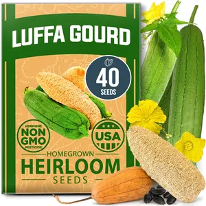 HOME GROWN Luffa Seeds - 40 Non-GMO and Heirloom Loofah Seeds for Planting, USA Sourced