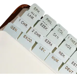 Mini Bible Tabs, Embossed Gold Foil Matte Laminated Index Tabs, 90 Tabs Including Old and New Testament Apocrypha, Christian Catholic Bible Journaling Study Tool for Small Bibles - Olive Branch