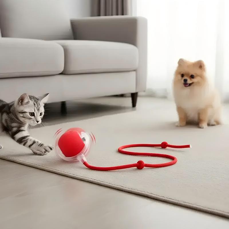 Interactive Electric Cat Toy Ball USB Rechargeable Automatic Rolling Ball Toy with Rope Indoor Cat Exercise Cat and Dog Toy Fun Gift