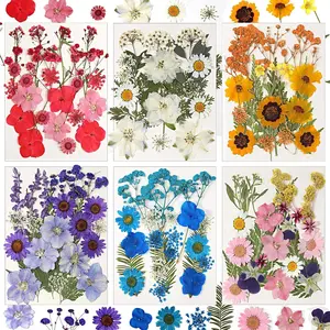 Dried Flowers for Resin, 103pcs Natural Flowers and Leaves Compressed, Vacuum Packed DIY Pressed Flowers for Epoxy, Jewelry, Candles, Soap, Nail Production
