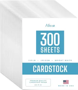 Cardstock Paper 300 Pack White Card Stock Printer Paper 8.5 x11, Heavyweight Thick 110 lb, Premium Smooth Sheets Printer Compatible for Crafts, Cards and Business