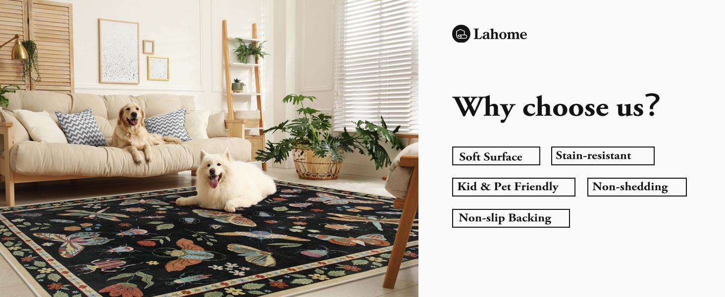 Lahome Washable Insect Area Rugs –Soft, Ultra-Thin Non-Slip Stain-Resistant Rug for Living Room, Bedroom, Dining Room and Office