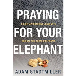USED-Praying for Your Elephant: Boldly Approaching Jesus with Radical and Audacious Prayer by Stadtmiller, Adam (Paperback)