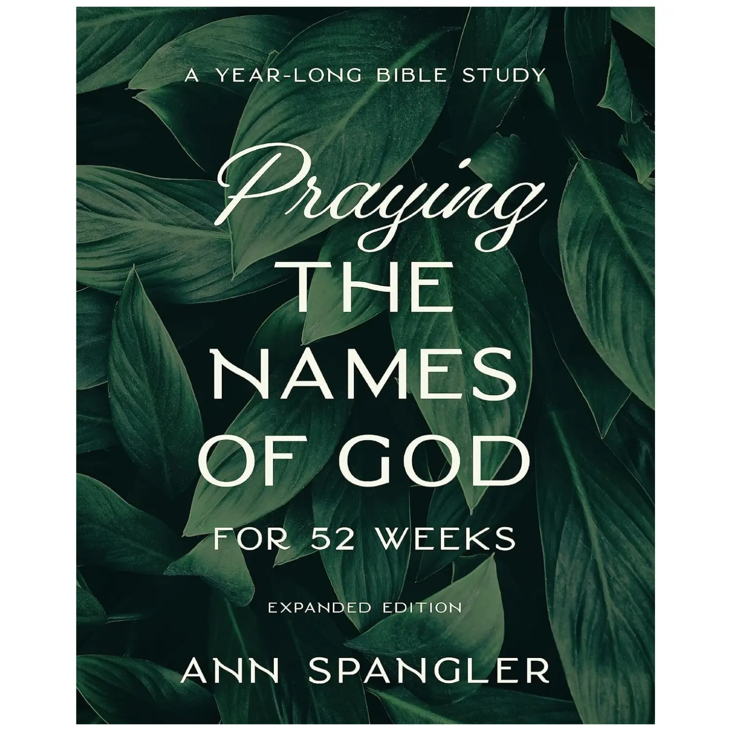 Praying the Names of God for 52 Weeks, Expanded Edition: A Year-Long Bible Study - Ann Spangler - Paperback