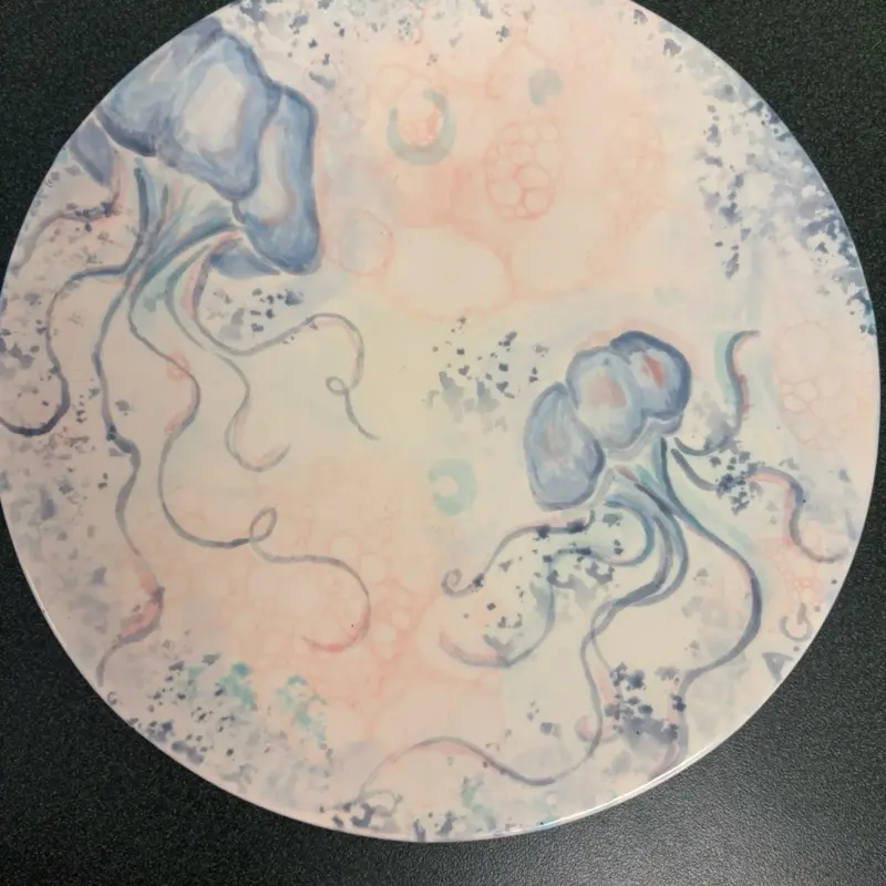 Hand painted plate