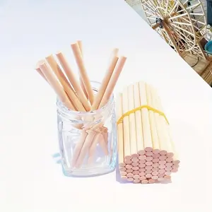 100pcs DIY Round Wooden Sticks, 3-6mm Diameter, Handmade Model Building Material, Plant Support, Floral Arrangement Wood Dowels