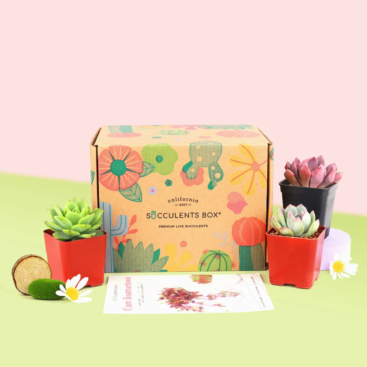 3 succulents/month - 12 month Subscription  Auto renew