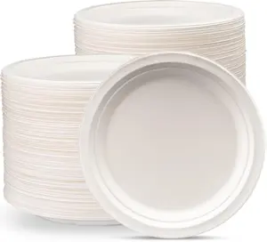 Package [9 Inch - 250 Pack Heavy-Duty White Paper Plates, 100% Compostable, Eco-Friendly - Biodegradable Disposable Plates, Sugarcane Paper Plates