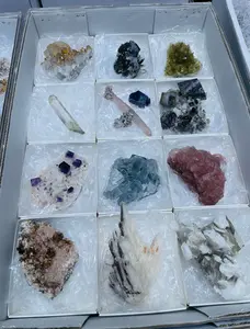 twelve pieces of different crystal minerals