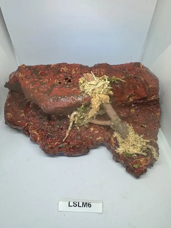 Magnetic Rock Ledges For Terrariums And Cages (Limited Edition) Medium LAVA