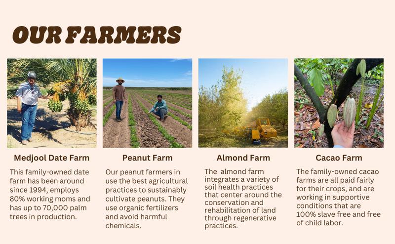 Realsy Nut Butter-filled Medjool Dates - Snack Packs, 3 Whole Dates, No Added Sugar, Gluten-Free, Vegan, High Fiber, Organic, 12-Pack Options Sweet Dried Realsy Nut Butter-filled Medjool Dates - Snack Packs, 3 Whole Dates, No Added Sugar, Gluten-Free, Vegan, High Fiber, Organic, 12-Pack Options Sweet Dried