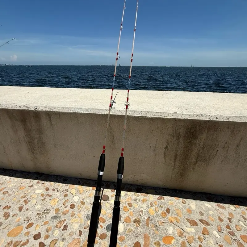 saltwater fishing pole - TikTok Shop