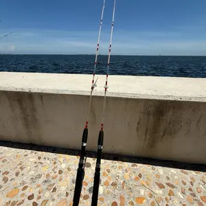 Largo Stick Red Edition II Spinning Fishing Rod 5ft Two Section 5 Guides Light Fiberglass Saltwater Fishing Durable Portable Strong Clear Red