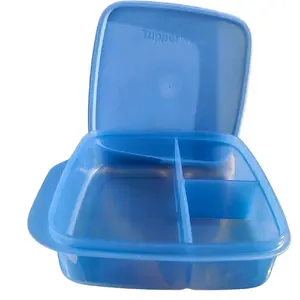 Blue ECO Lunch  Containers - Liquid Tight Seal, Dishwasher Safe, Lifetime Warranty, May Vary in Color, Maintains Freshness