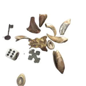 Osteomancy ( Bone Reading/Divination)