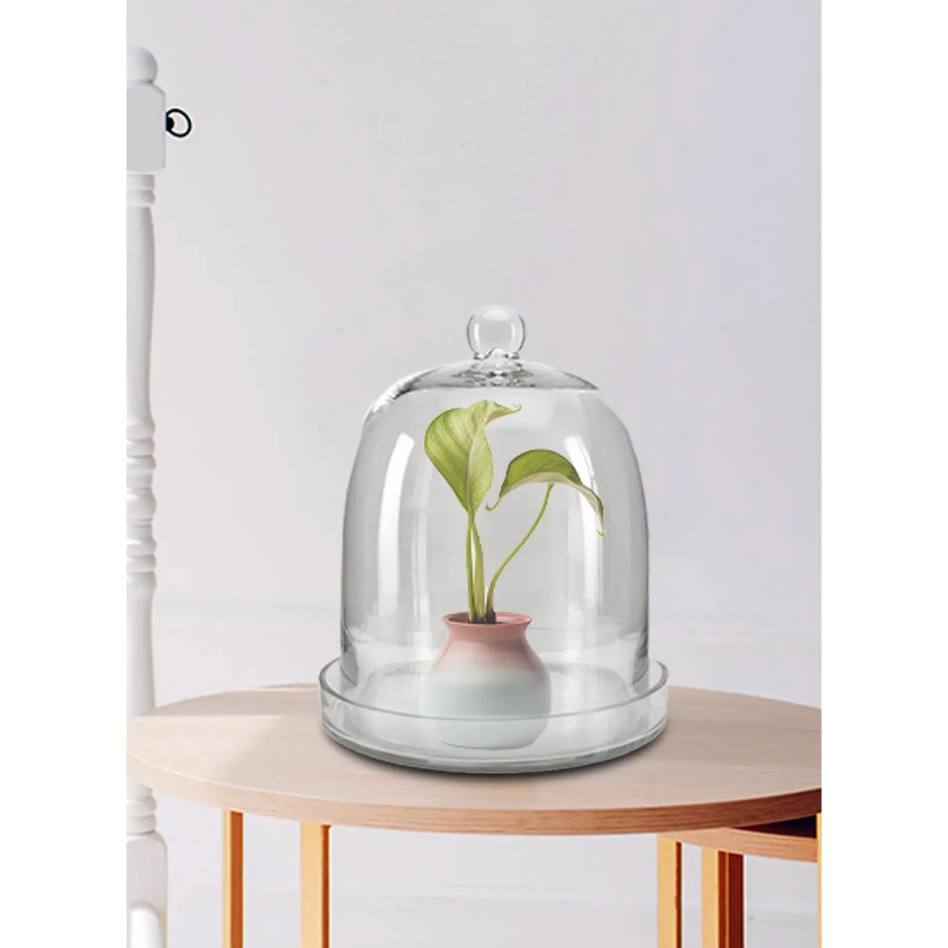 Glass Cloche with Base Collection