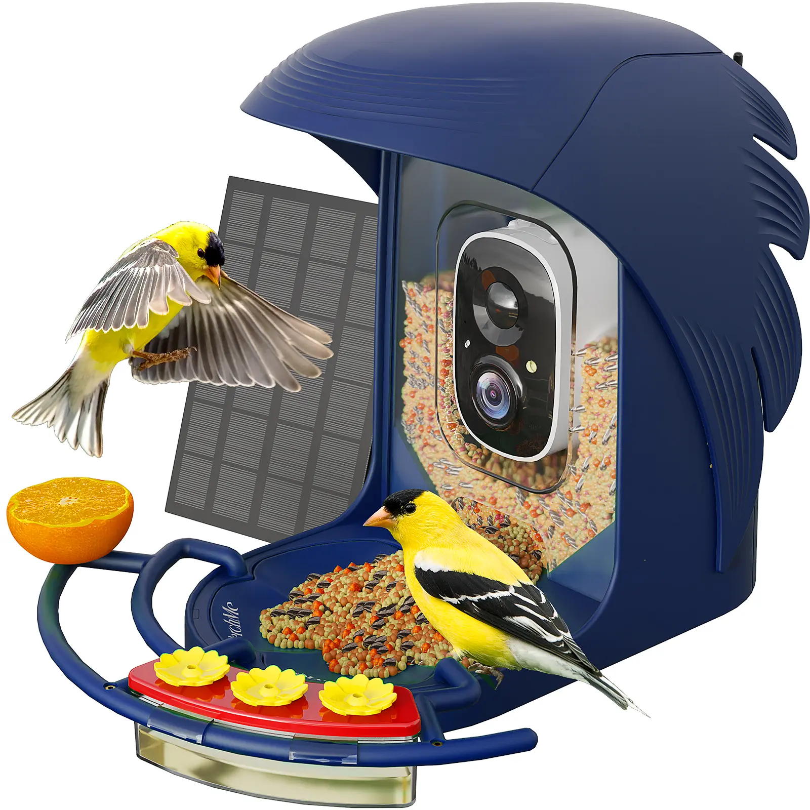 PerchMe Smart Bird Feeder with Camera, Solar Powered Bird Watching Camera for Outside, 2K HD Auto Capture Motion Detection with AI Identify, DIY Add-ons & Seed Scoop, A Ideal Gift