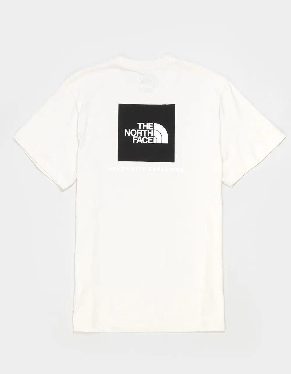 THE NORTH FACE Box NSE Mens Tee
