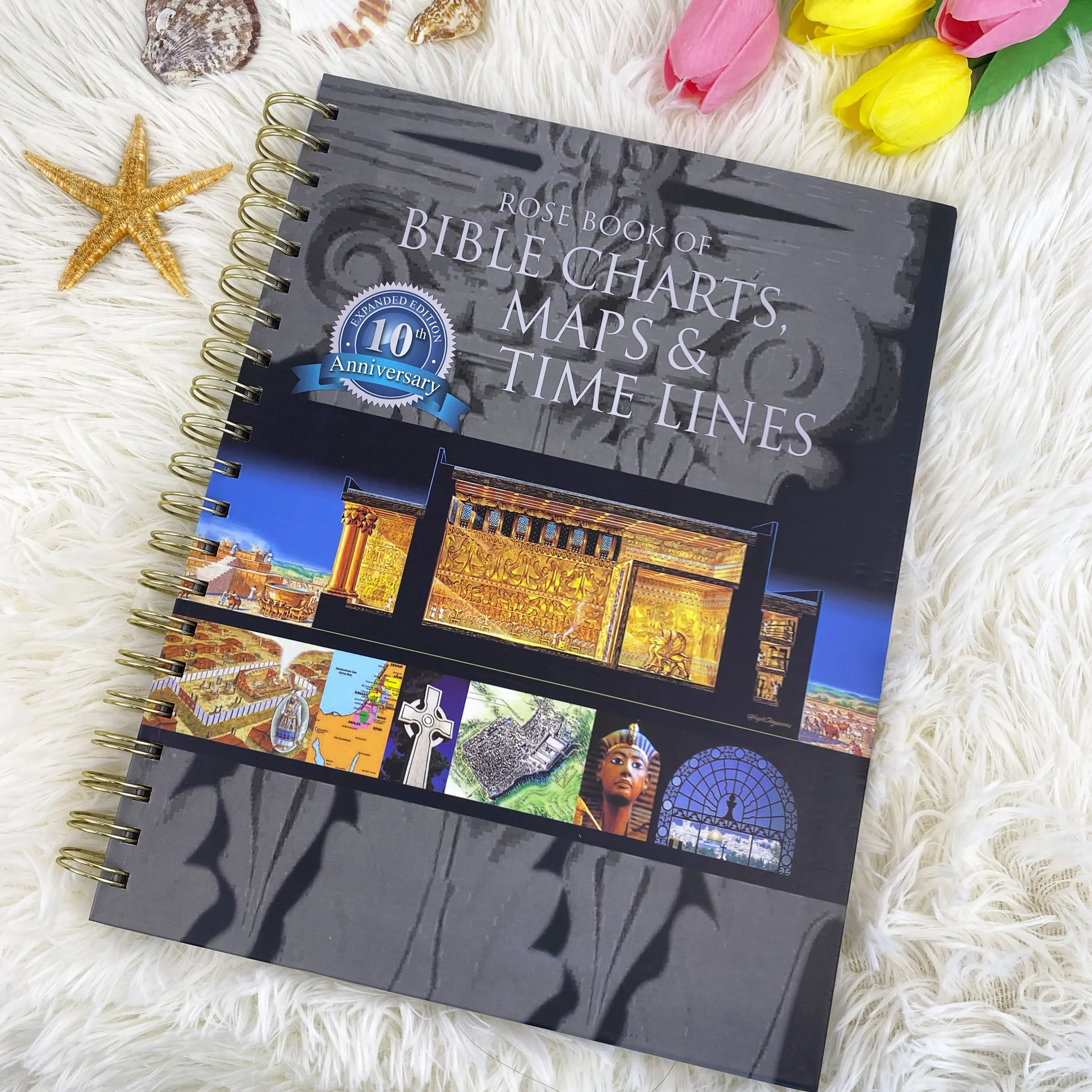 Rose Book of Bible Charts Maps & Time Lines 10thAnniversary Edition Spiral Bound Visual ReferenceGuide with Study Notebook for PersonalDevotions & Sunday School Classes