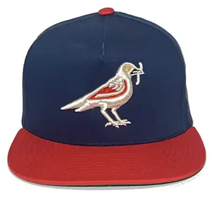 UNITED JEWELS 3D RAISED MATALIC EMBROIDERY SNAPBACK CAP