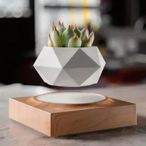 MAGECMOON Magnetic Levitation Planter Rotating and Floating Mid Air The Perfect Accent for Modern Home Decor Specially Designed for Air Plants and Bonsai This Home Gardening Decoration Creates the Ultimate for Plant Enthusiasts Father’s Day Gift