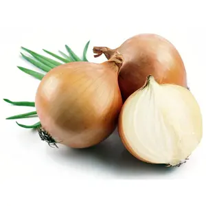 Hybrid Candy Onion - 50 Seeds - Incredibly Sweet & Mild
