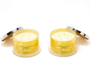 HomeWorx by Slatkin + Co. S/2 18oz Sun Kissed Lemon Candles HomeWorx by Slatkin + Co. S/2 18oz Sun Kissed Lemon Candles