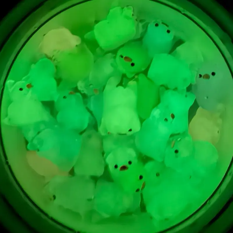 Glow Piggy Pad Gel Sensory Pad for ADHD & Anxiety Relief Skin Picking Dermatillomania Nervous Energy Calming Effect