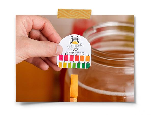 Kombucha Essentials Kit