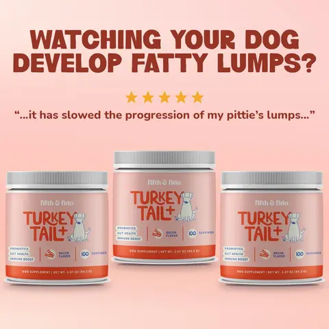 Fifth and Fido Turkey Tail+ 3-Pack Mushroom Food Topper for Dogs | Bacon | Supports Normal Immune Function | 500mg per Scoop | Made in USA