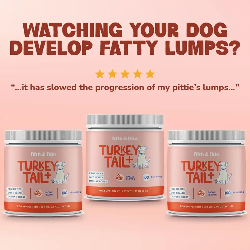 Fifth and Fido Turkey Tail+ 3-Pack Mushroom Food Topper for Dogs | Bacon | Supports Normal Immune Function | 500mg per Scoop | Made in USA
