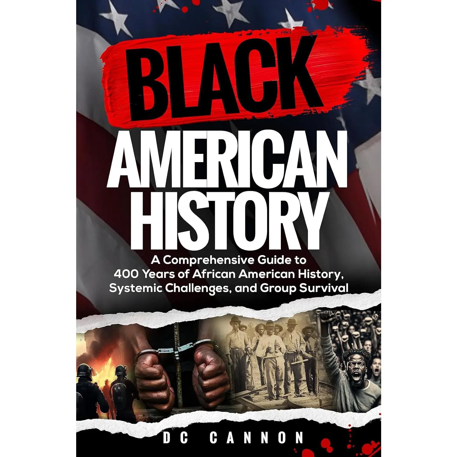 Black American History Comprehensive Guide - 400 Years of African American History, Systemic Challenges, Group Survival (Collectibles Entertainment Comic Books Reference)