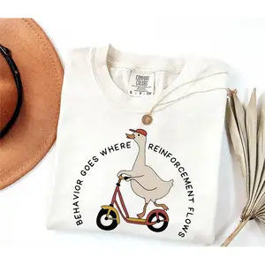 Silly Goose Behavior Goes Where Reinforcement Flows Tee, Silly Goose Sweatshirt, Behavior Specialist Shirt, Comfort Colors T-Shirt